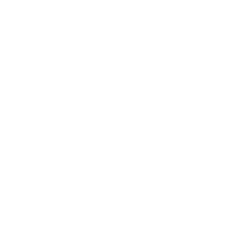 ToTheMoonTeam logo